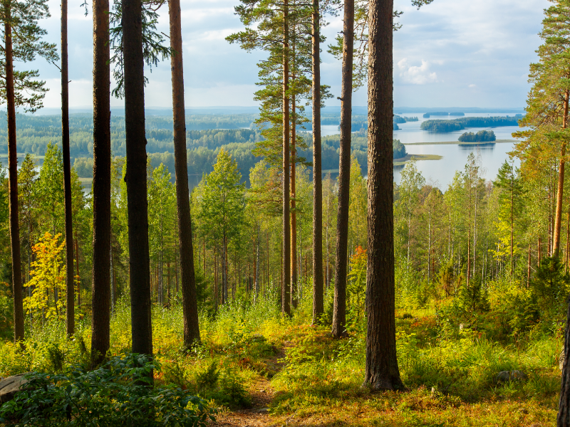 Kuvassa maisema Puijonnokalta